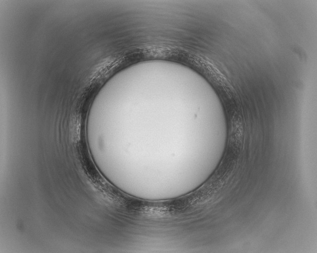 X0000115490694200911201557