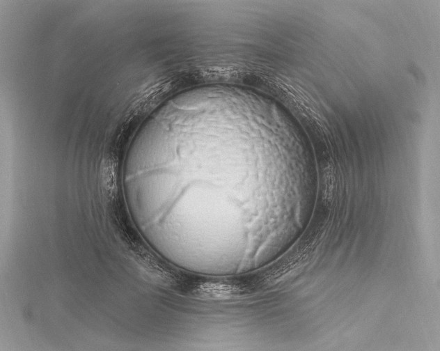 X0000115490699200911201557