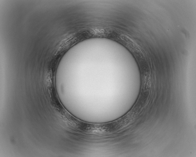 X0000115490702200911201557