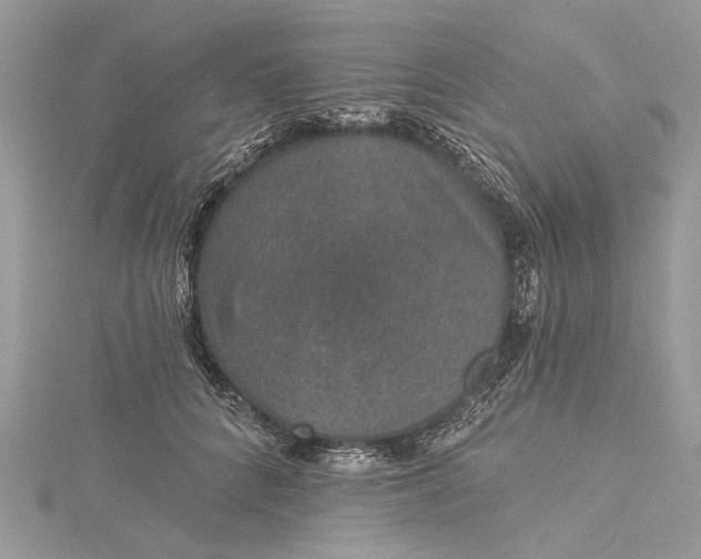 X0000115490704200911201557