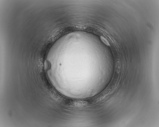 X0000115490707200911201557