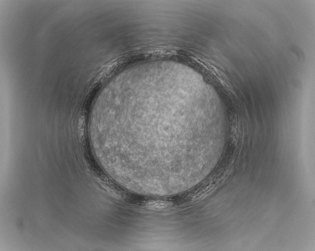 X0000115490708200911201557