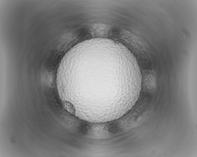 X0000115490709200911201557