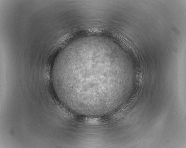 X0000115490710200911201557