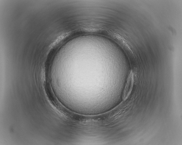 X0000115490734200911201556