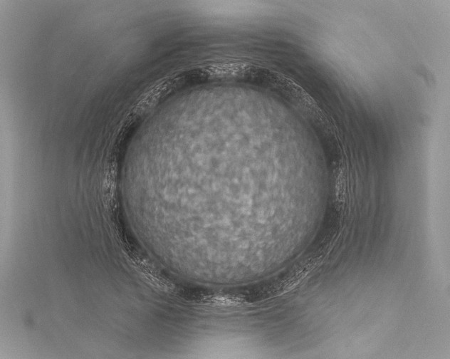 X0000115490737200911201556