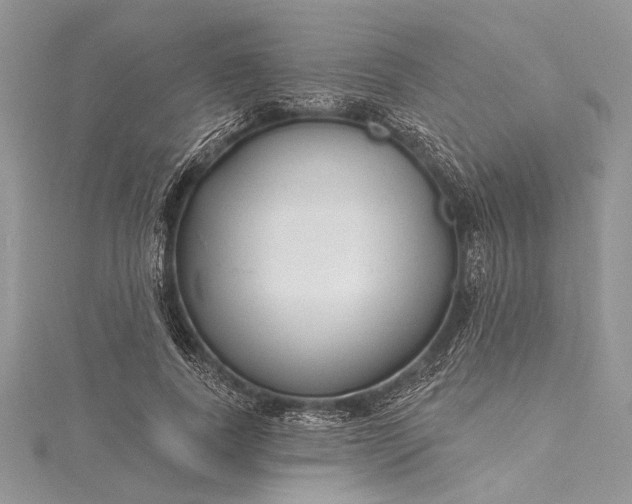 X0000115490739200911201556