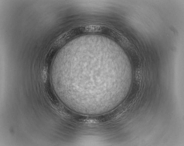 X0000115490741200911201556