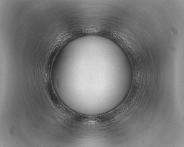 X0000115490743200911201556