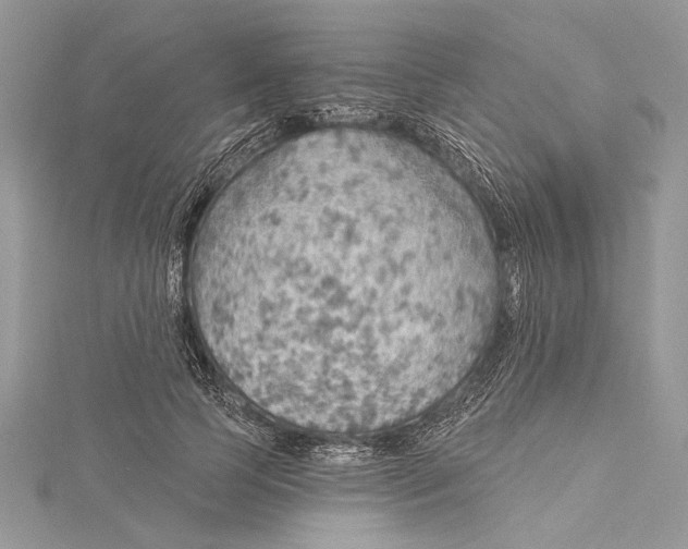 X0000115490745200911201556
