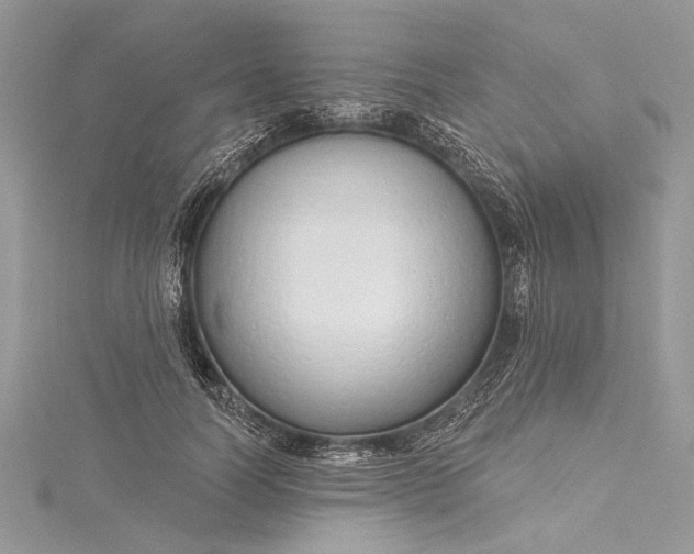 X0000115490746200911201556