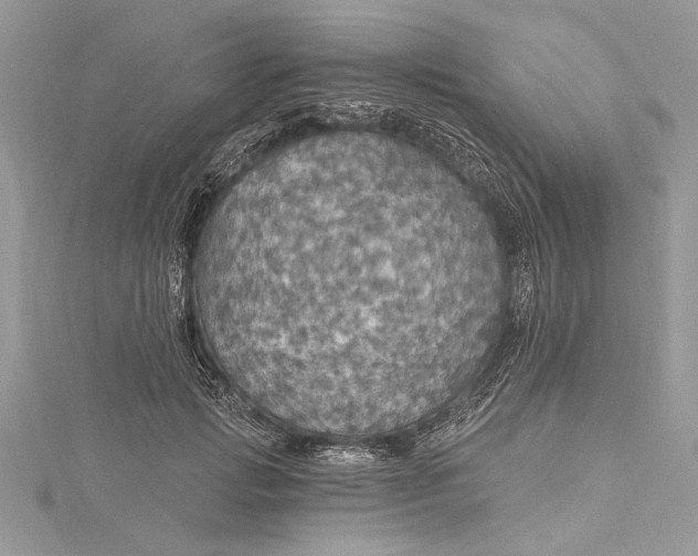 X0000115490749200911201556