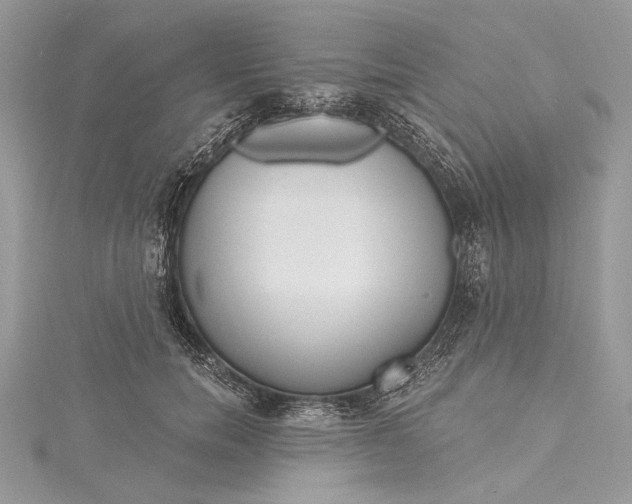 X0000115490750200911201556