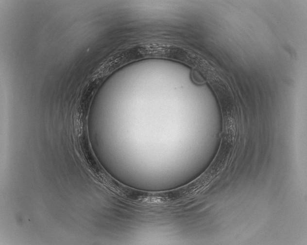 X0000115490751200911201556