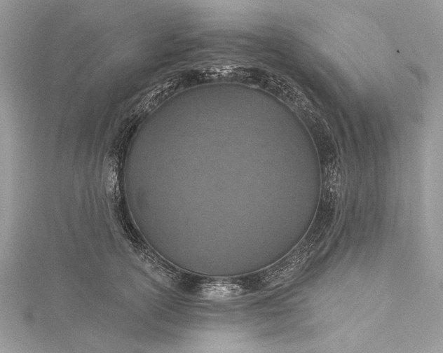 X0000115490754200911201556
