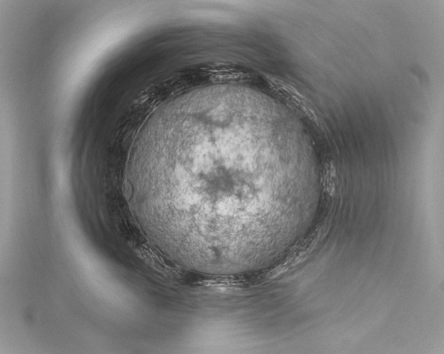 X0000115490763200911201557