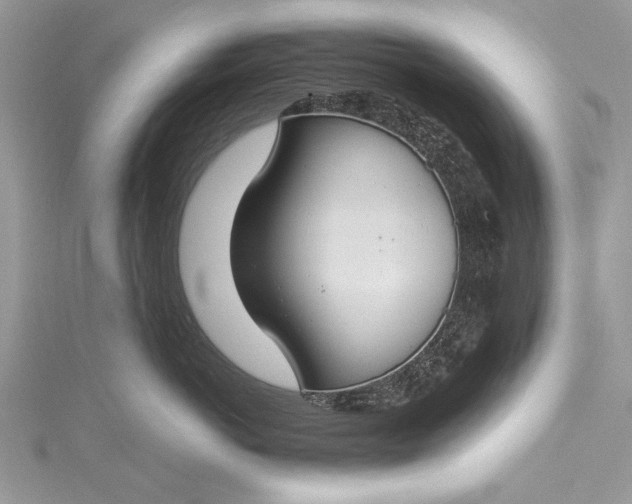X0000115490766200911201557