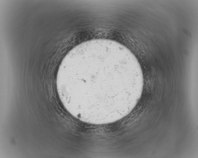 X0000115490769200911201556