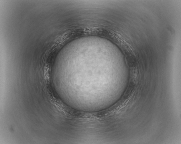X0000115490770200911201556