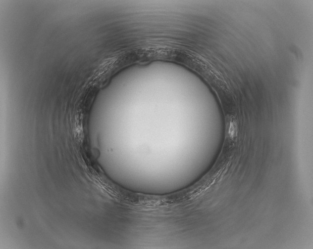 X0000115490771200911201556