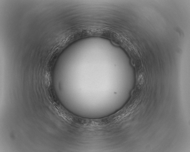 X0000115490772200911201556
