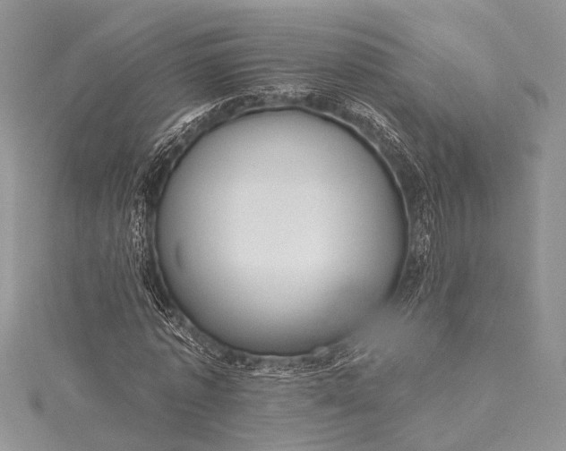 X0000115490773200911201556