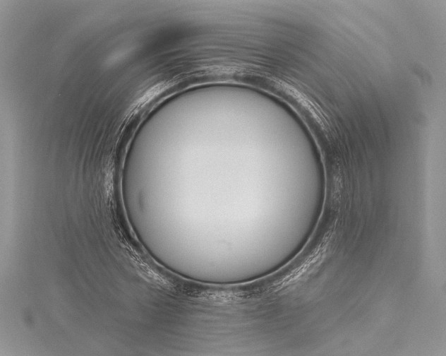 X0000115490778200911201556