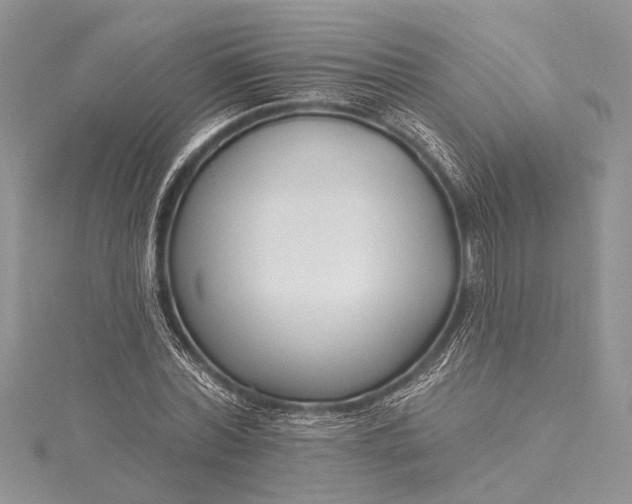 X0000115490780200911201556