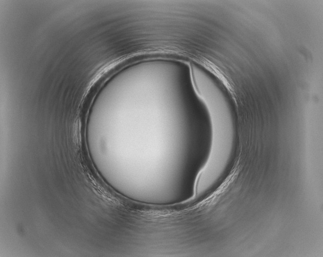 X0000115490781200911201556