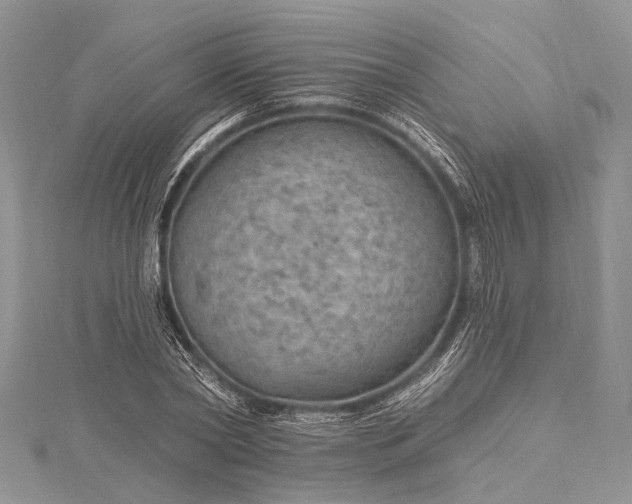 X0000115490782200911201556