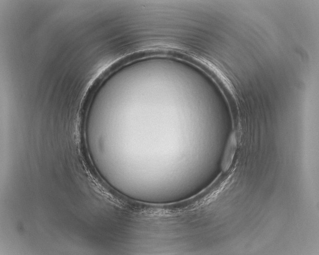X0000115490783200911201556