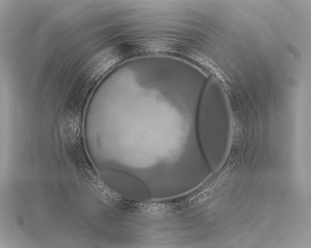 X0000115490785200911201556