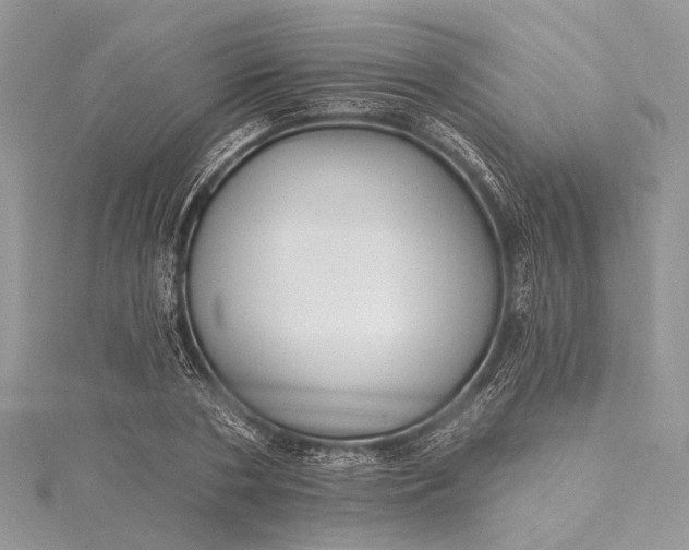 X0000115490786200911201556