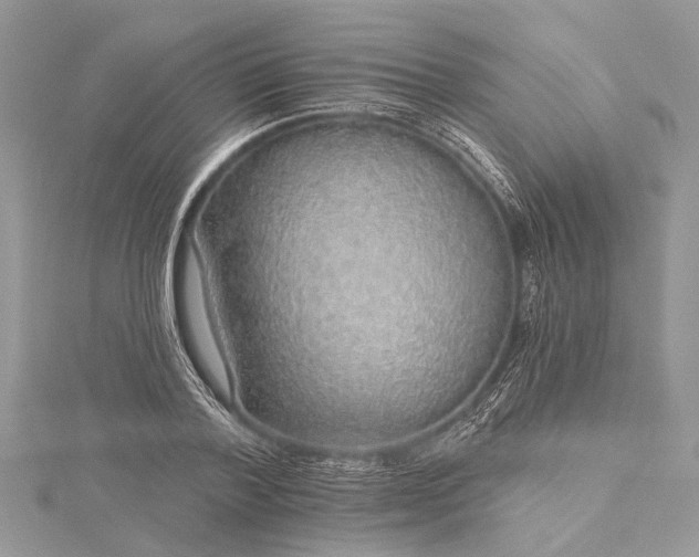 X0000115490788200911201556
