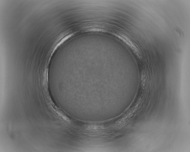 X0000115490790200911201556