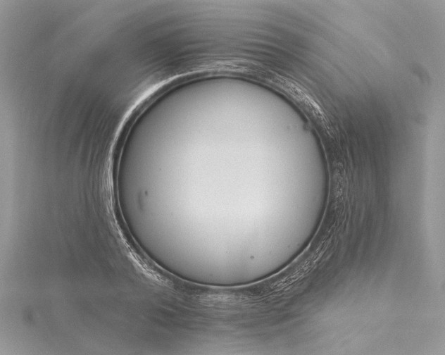 X0000115490792200911201556