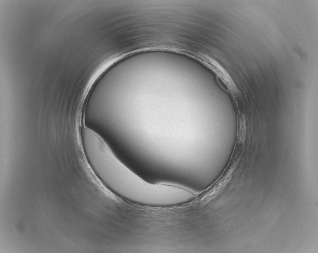 X0000115490812200911201555