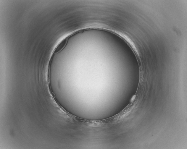 X0000115490815200911201555