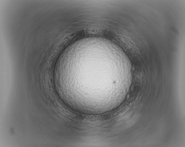 X0000115490817200911201555