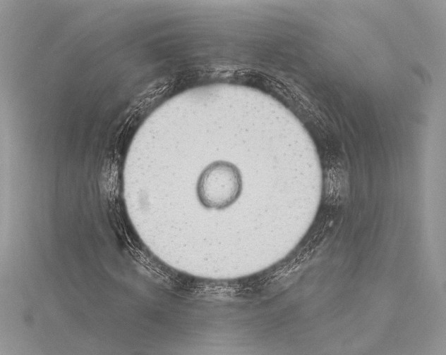 X0000115490820200911201555