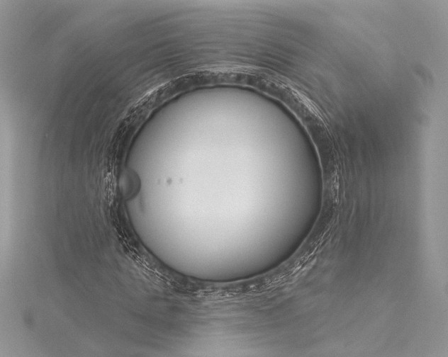 X0000115490821200911201555