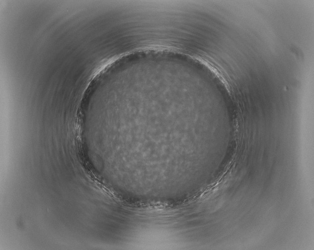 X0000115490823200911201555