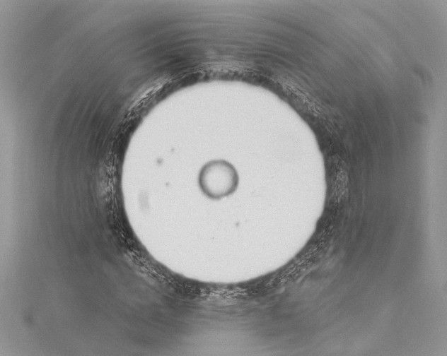 X0000115490824200911201555