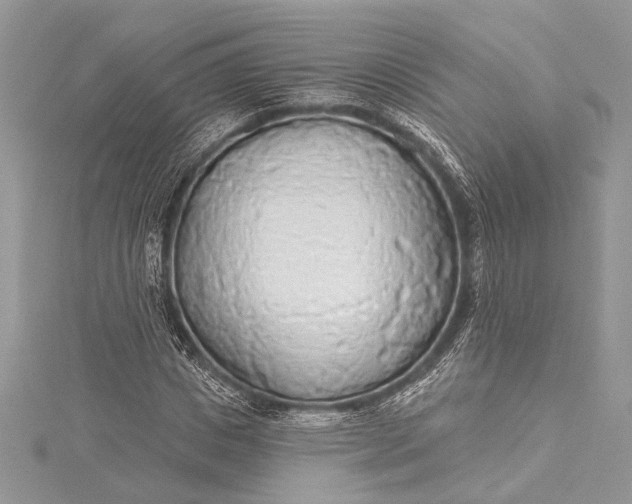 X0000115490825200911201555