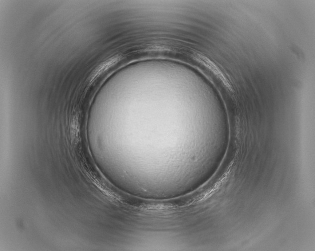 X0000115490826200911201555