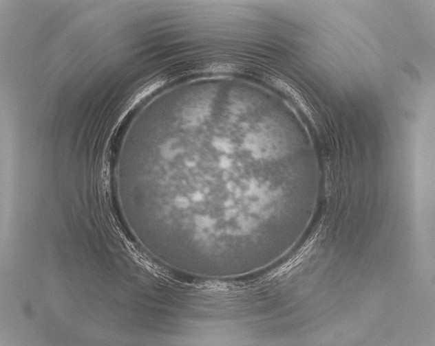 X0000115490827200911201555