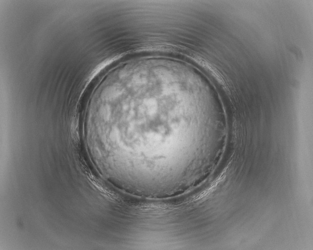 X0000115490830200911201555