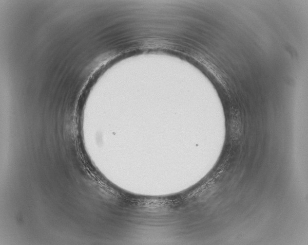 X0000115490832200911201555