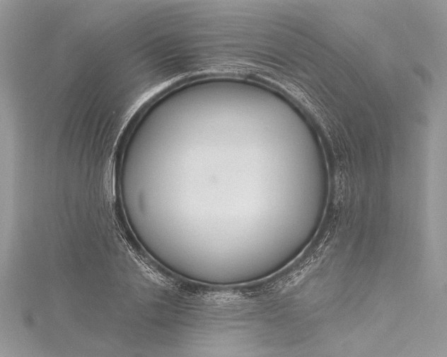 X0000115490838200911201555