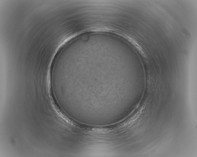 X0000115490840200911201555